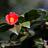 jacky1106's profile image