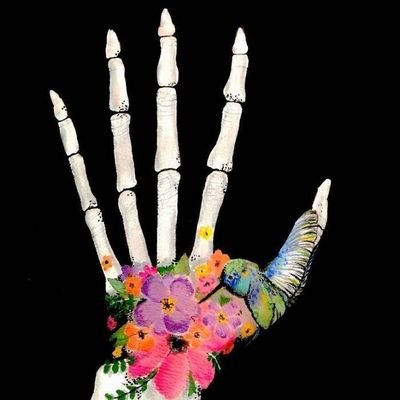 Manal_Qaysoom's profile picture. 