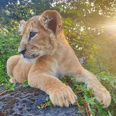 Profile Picture of David Pereira Doel (@DoelPereira) on Twitter