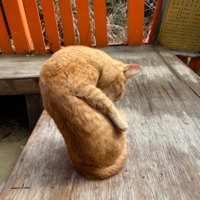 食う、寝る、遊ぶ！