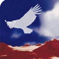 🇨🇱🇨🇱 RESISTENCIA PATRIOTA X 🇨🇱🇨🇱 (@patriotagd) 's Twitter Profile