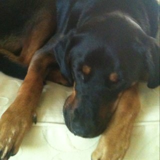 broth4314's profile picture. 