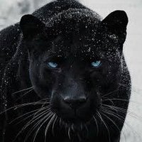 Raúl Cámara (@raulmcamara) 's Twitter Profile