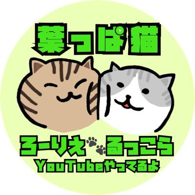 熊本生まれの保護猫/名前が葉っぱ🍀/姉キジトラろーりえ♀(19年3月生) わんぱく好奇心娘/妹ザバシロるっこら♀(19年4月生)小心者で寂しがり娘/YouTube🍀葉っぱチャンネル🍀にも遊びに来てにゃ😼岩合光昭さんは神／猫アカはフォロバします🐈