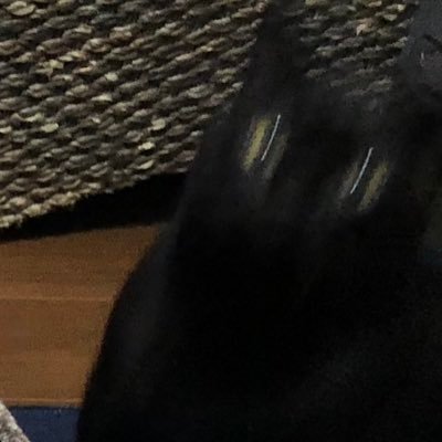 nanaさんのプロフィール画像