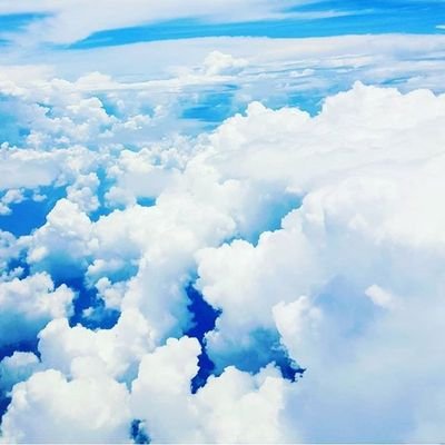 Kalebrainee's profile picture. 