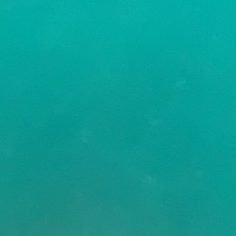 rariruren312's profile picture. 