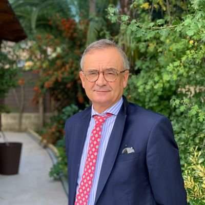 Orientalista. Diplomático.Mb Consejo Asesor del @rielcano. Ex Fellow @belfercenter. Hoje Ministro Conselheiro Embaixada Espanha no Brasil. Cuenta personal