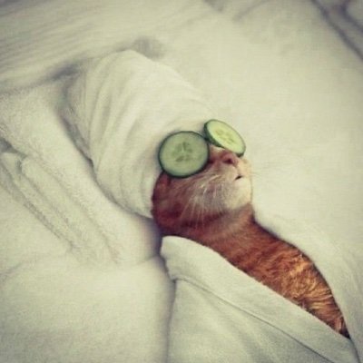 notarcus's profile picture. Influencer of myself (and, sometimes, not even...)