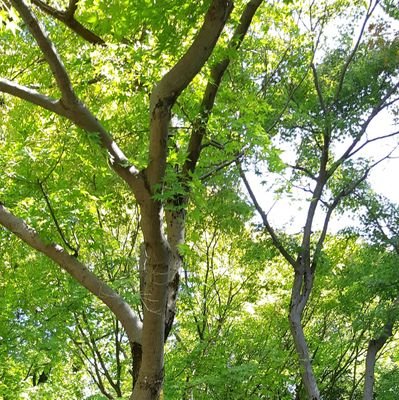 tamami00405261's profile picture. 