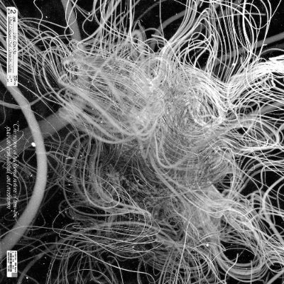 SYNES
Oracle EP out now
Cyber Time Crisis out now
DRUID00001 out now