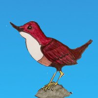 BAD Birders(@BadBirders) 's Twitter Profile Photo