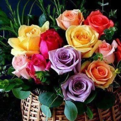 janarda36047770's profile picture. Janardan singh  kushwaha