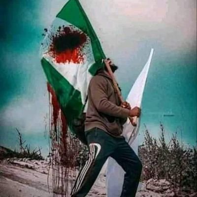 DesmondOgaga's profile picture. 