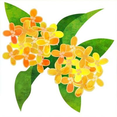 S_mahjong's profile picture. 0.5三麻成績管理