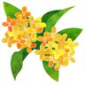 S_mahjong's profile picture. 0.5三麻成績管理