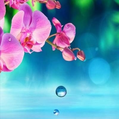 po7PilzxpaDeo6C's profile picture. 