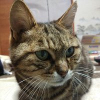 それを言ったらおしまいよ の評価や評判 感想など みんなの反応を1週間ごとにまとめて紹介 ついラン それを言ったらおしまいよ の評価や評判 感想など みんなの反応を1週間ごとにまとめて紹介 ついラン