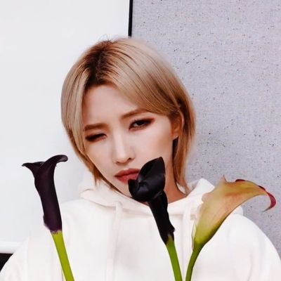 🦁쮜🦁さんのプロフィール画像