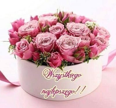 RimmlerWioletta's profile picture. Lesen