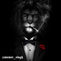 M๐๐๐๐ S๐๐๐๐ (@memer_singh) 's Twitter Profile