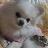 Leejuhooni's profile image