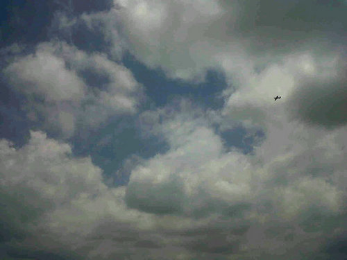 Kwandisa_'s profile picture. Proudly SA 🇿🇦, Solution based, results driven...