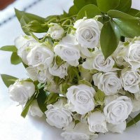 ليموزين الطائف (@mokhleds) 's Twitter Profile