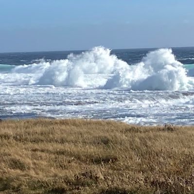 BelbenNerisa's profile picture. Teacher, bakery owner, reader