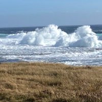 Nerisa Belben (@belbennerisa) 's Twitter Profile Photo Nerisa Belben (@belbennerisa) 's Twitter Profile Photo