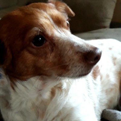 AndreaNicoleBu7's profile picture. 