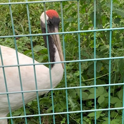 wA4cibHwohtSg8z's profile picture. 成人