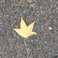 ReadThinkTweet (@readthinktweet2) 's Twitter Profile