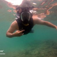 ________ (@____d_a__) 's Twitter Profile Photo