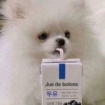 MartinLebreton3's profile picture. « allô? »