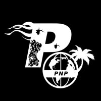 Pistols & PalmTrees™️ (@pnpus) 's Twitter Profile