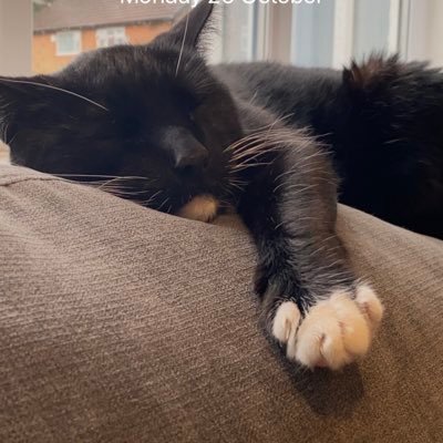 emma96931811's profile picture. 