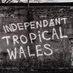 Independænt Tropical Cymru 🏴󠁧󠁢󠁷󠁬󠁳󠁿✌🏽🍍 (@TropicalWales) Twitter profile photo