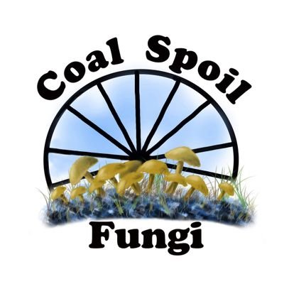 CoalspoilFungi Profile Picture