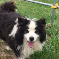 れおん⚾️北海道鷹党🦅 (@yplwk3pggpmvqhu) Twitter profile photo