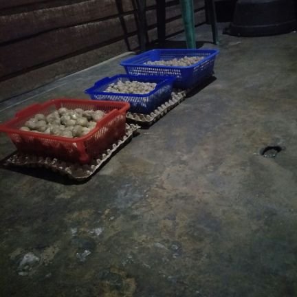 sedang tidurr