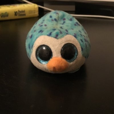 casualpenguin2's profile picture. Penguin kid thingy (I’m a minor so no NSFW, but I’m ok with gore and unsettling photos).
