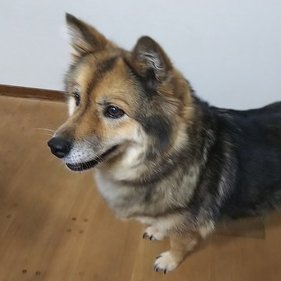 mu_cmu's profile picture. 林道爆走🏍まおも、はるかも、み〜んな大好き