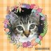 hiro💫22🍄🐰🐱🐾🌿 (@hiro115215) Twitter profile photo hiro💫22🍄🐰🐱🐾🌿 (@hiro115215) Twitter profile photo