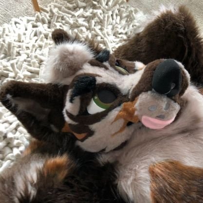 Shep▫️Snowboarder▫️Raver/Party dog▫️Dad dog▫️Durp▫️sniffn' & waggin▫️Traveler▫️Camera Dog▫️Snuggle enthusiast▫️Single▫️Blushy boy. 18+ only.

🐕: @WaggeryCos