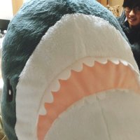 キシモュレ (@gelee__kiss) 's Twitter Profile