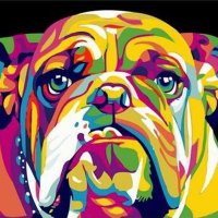 HailTheBulldog(@HailTheBulldog) 's Twitter Profile Photo