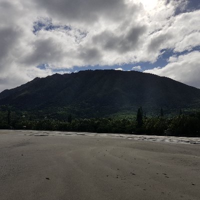 Leya8Lisa's profile picture. 🤔 😓🤷‍♀️👀💬