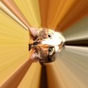 Eric Thorpe - @Eric_Thorpe - Twitter