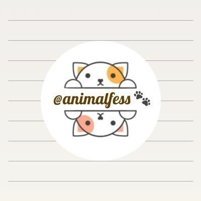 ANF! - OPEN DMさんのプロフィール画像